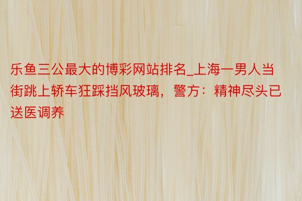 乐鱼三公最大的博彩网站排名_上海一男人当街跳上轿车狂踩挡风玻璃，警方：精神尽头已送医调养