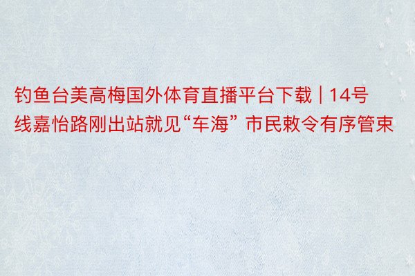 钓鱼台美高梅国外体育直播平台下载 | 14号线嘉怡路刚出站就见“车海” 市民敕令有序管束