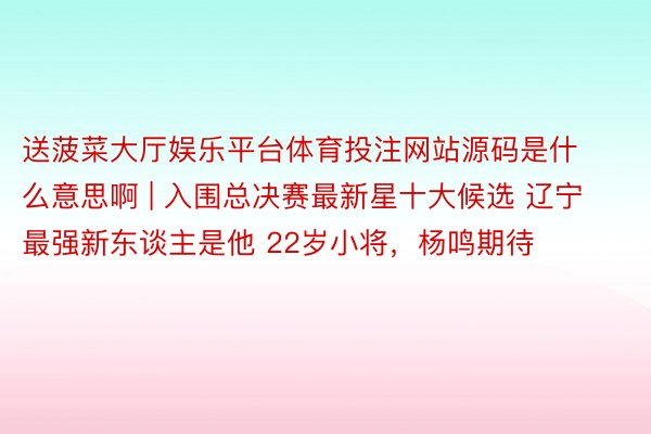 送菠菜大厅娱乐平台体育投注网站源码是什么意思啊 | 入围总决赛最新星十大候选 辽宁最强新东谈主是他 22岁小将，杨鸣期待